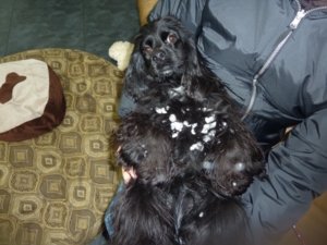 f:id:yu666:20101221012843j:image f:id:yu666:20101221012843j:image