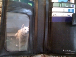 f:id:yu666:20110111101921j:image f:id:yu666:20110111101921j:image