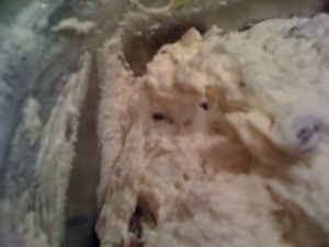 f:id:yu666:20110417202153j:image f:id:yu666:20110417202153j:image