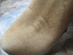 f:id:yu666:20111112134719j:image:w360 f:id:yu666:20111112134719j:image:w360