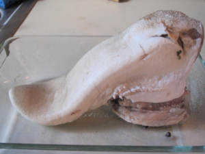 f:id:yu666:20111112134753j:image:w360 f:id:yu666:20111112134753j:image:w360