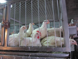 f:id:yu666:20120901160322j:image:w360 f:id:yu666:20120901160322j:image:w360