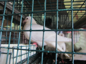 f:id:yu666:20120901162939j:image:w360 f:id:yu666:20120901162939j:image:w360