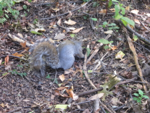 f:id:yu666:20121021142334j:image:w360 f:id:yu666:20121021142334j:image:w360