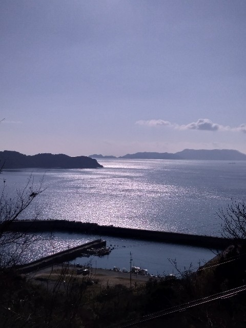 f:id:yu7a02110612:20190114213538j:image f:id:yu7a02110612:20190114213538j:image