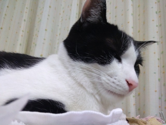f:id:yu7a02110612:20190114215857j:image f:id:yu7a02110612:20190114215857j:image