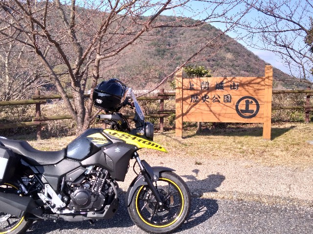 f:id:yu7a02110612:20190114220031j:image f:id:yu7a02110612:20190114220031j:image