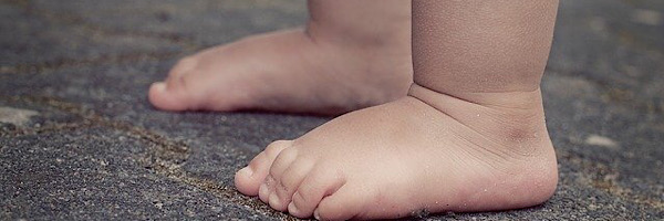 下半身に肉がつきやすい人は頭が良い