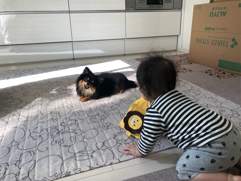 f:id:yu_lily_3:20191112220830j:image