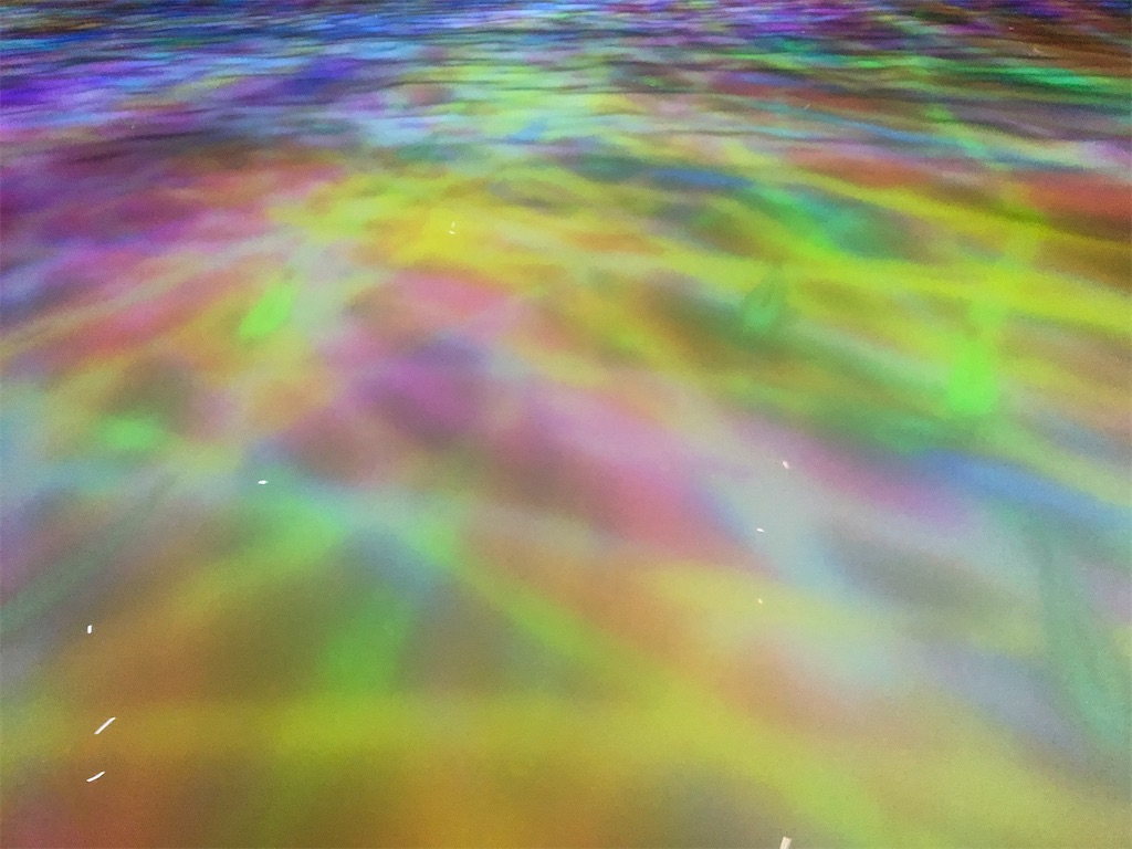 f:id:yu_lily_3:20210110225430j:image f:id:yu_lily_3:20210110225430j:image