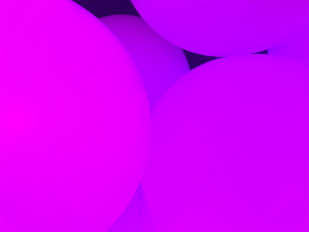 f:id:yu_lily_3:20210110225900j:image f:id:yu_lily_3:20210110225900j:image