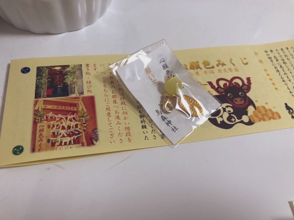f:id:yu_lily_3:20210110231813j:image f:id:yu_lily_3:20210110231813j:image