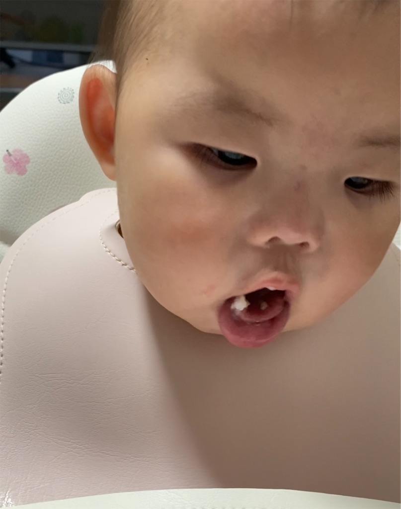 f:id:yu_mama81:20240624152121j:image