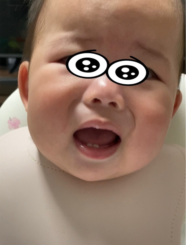 f:id:yu_mama81:20240624152214j:image