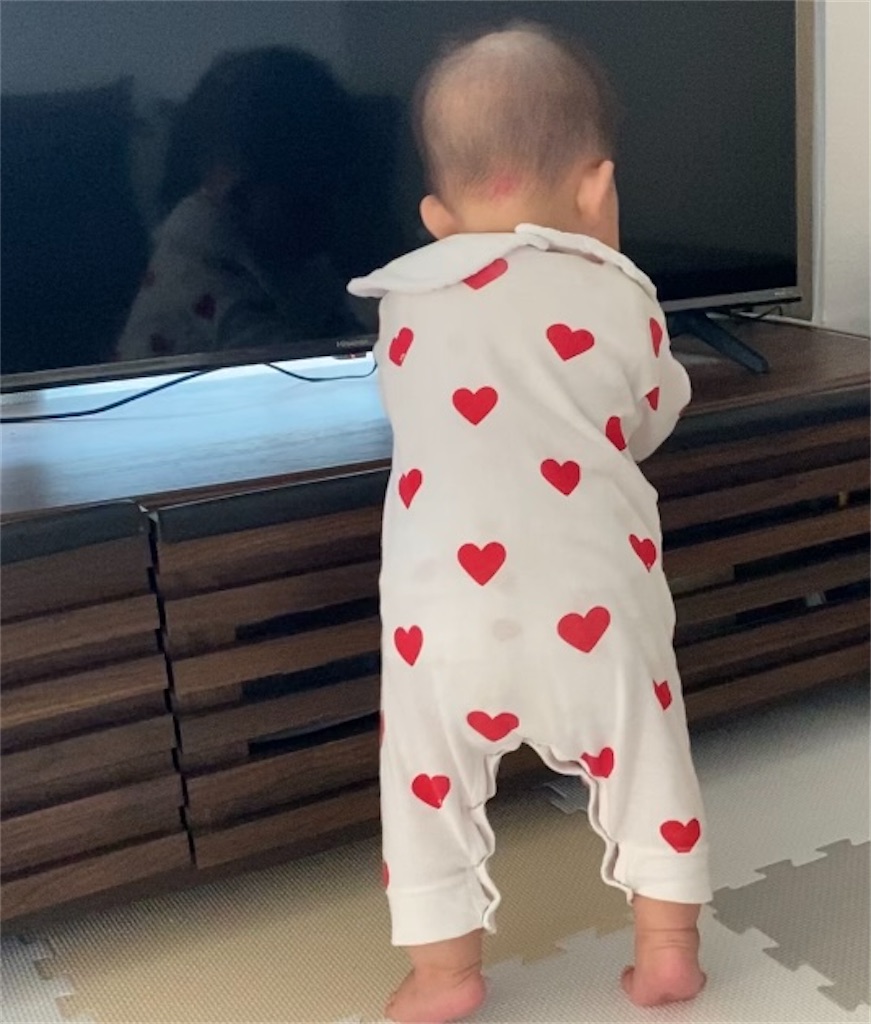 f:id:yu_mama81:20240717113751j:image
