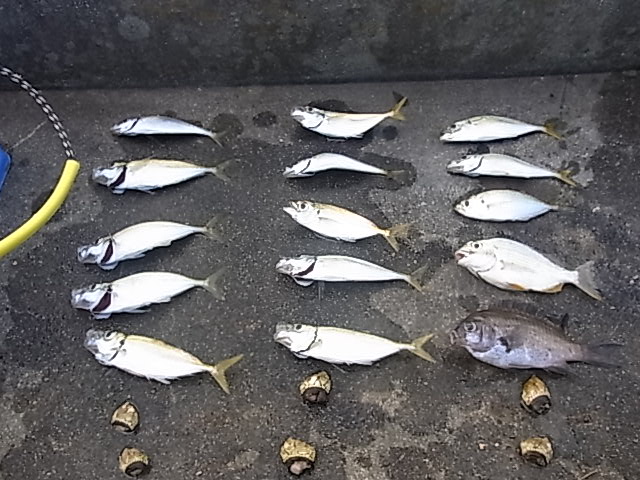 f:id:yu_me_po-lly:20200329074927j:plain f:id:yu_me_po-lly:20200329074927j:plain