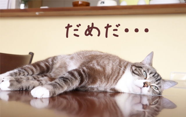 f:id:yu_me_po-lly:20201111192030j:plain f:id:yu_me_po-lly:20201111192030j:plain