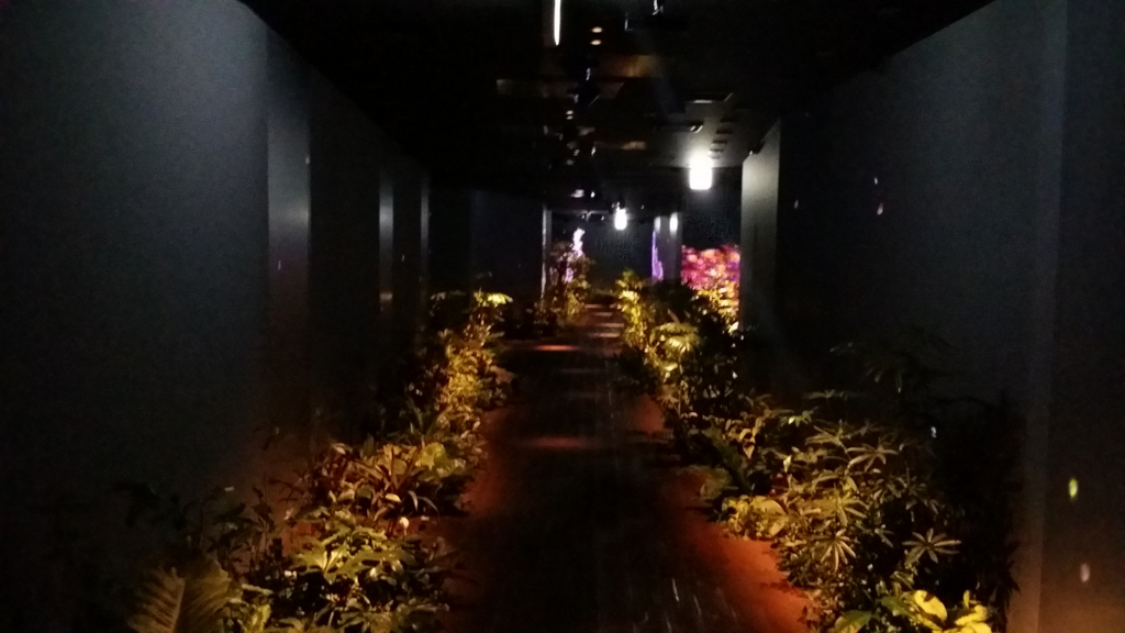 f:id:yu_ping:20170509081429j:plain f:id:yu_ping:20170509081429j:plain