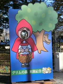 イメージ 8