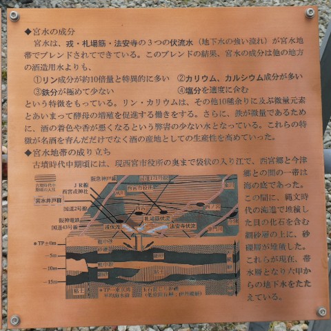 イメージ 9