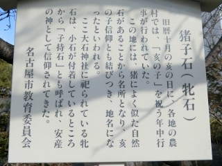 イメージ 7