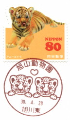 小型印】旭山動物園 - Yu-Run記
