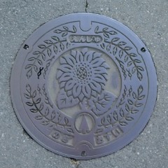 イメージ 14