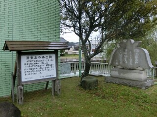 イメージ 5