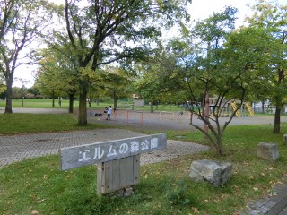エルムの森公園写真