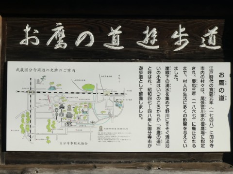 お鷹の道写真