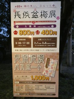 長浜盆梅展看板写真