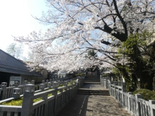 泉岳寺写真