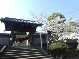 泉岳寺写真