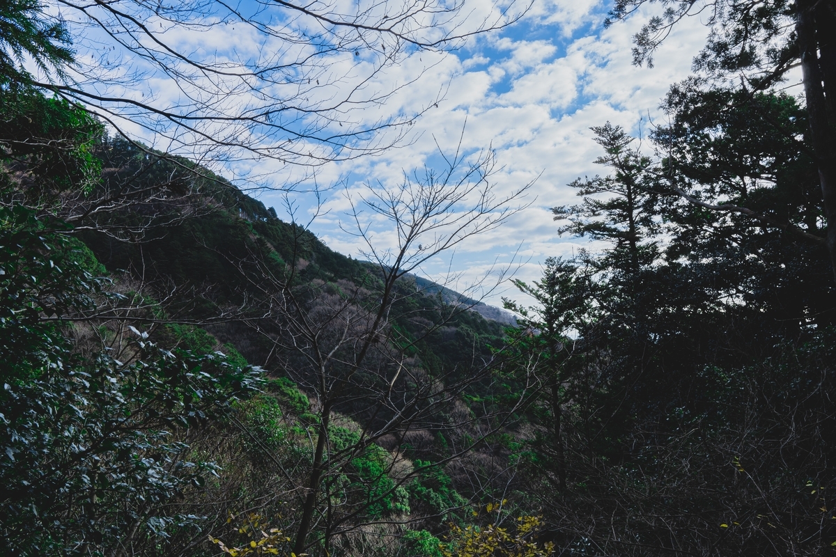 f:id:yu_xix:20191229090053j:plain