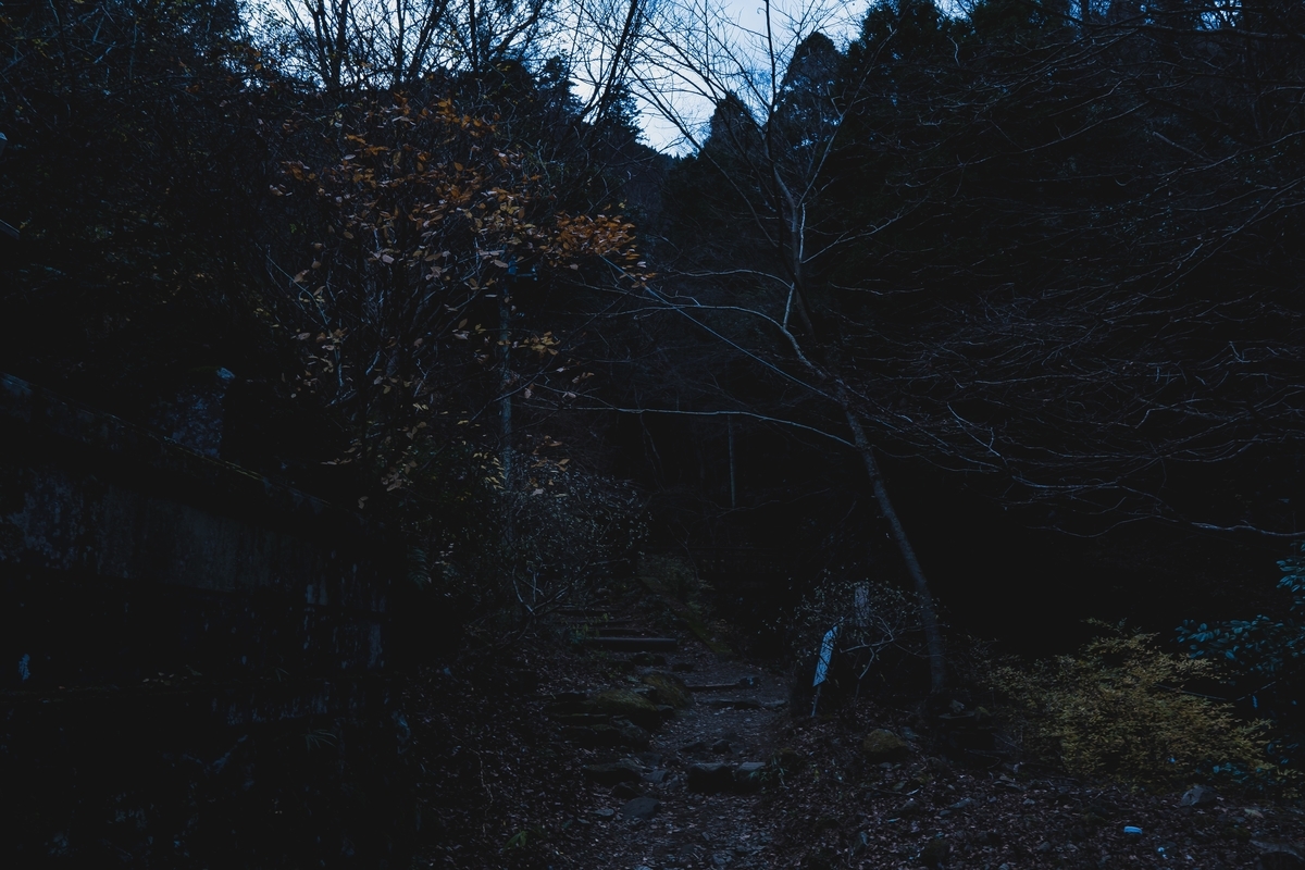 f:id:yu_xix:20191229144846j:plain