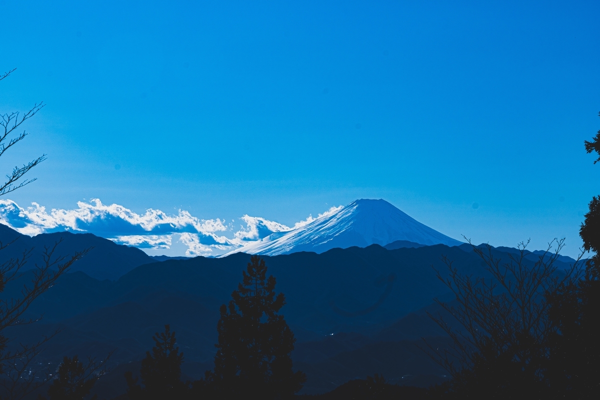 f:id:yu_xix:20200322185031j:plain