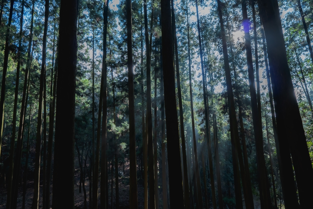 f:id:yu_xix:20200329184541j:plain