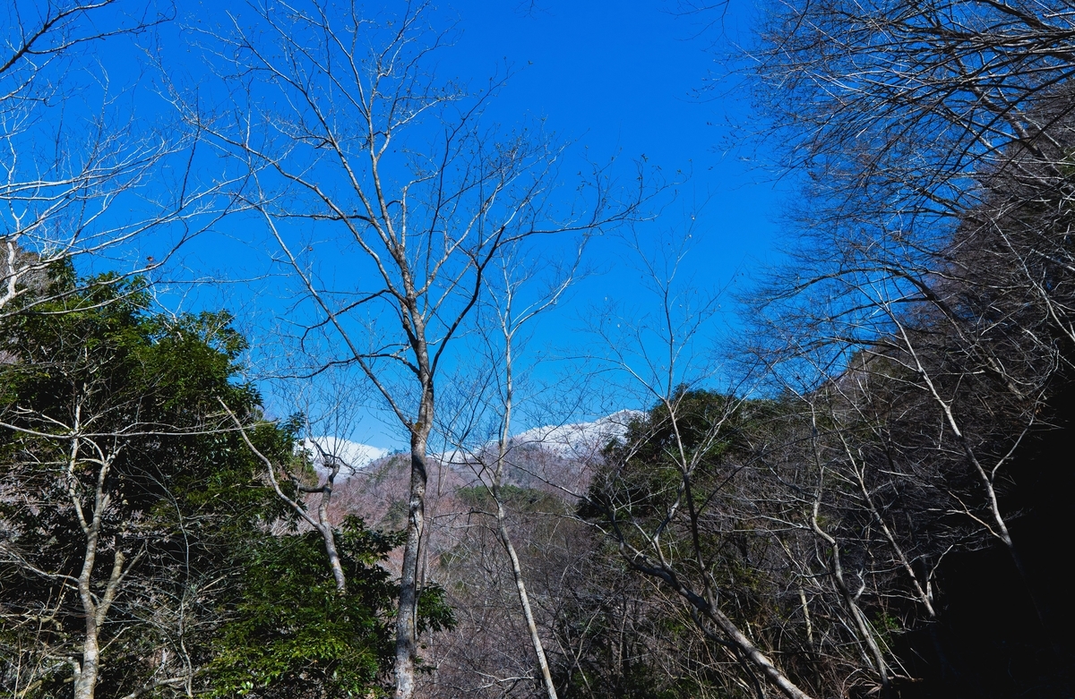 f:id:yu_xix:20200329185735j:plain