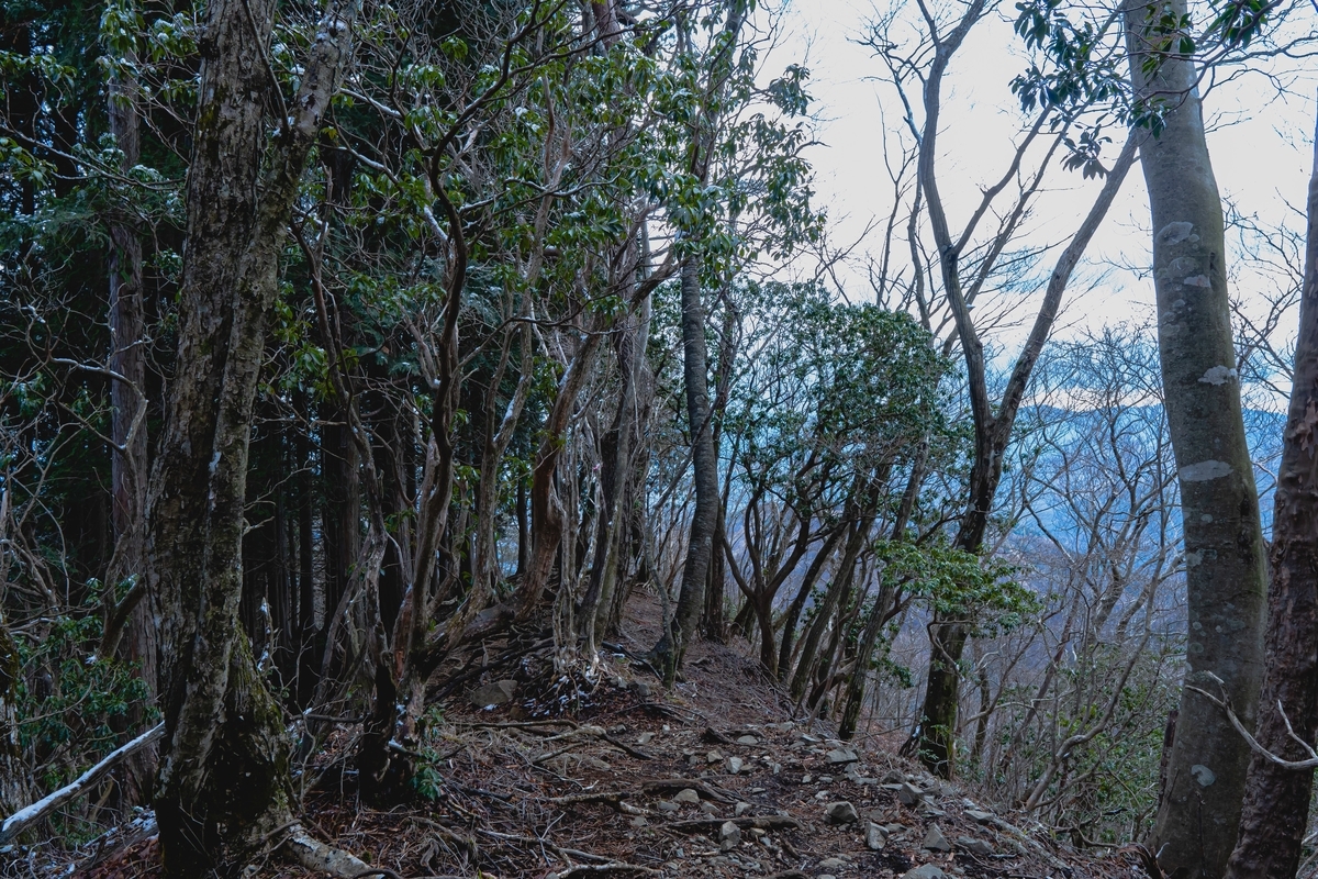 f:id:yu_xix:20200407021734j:plain