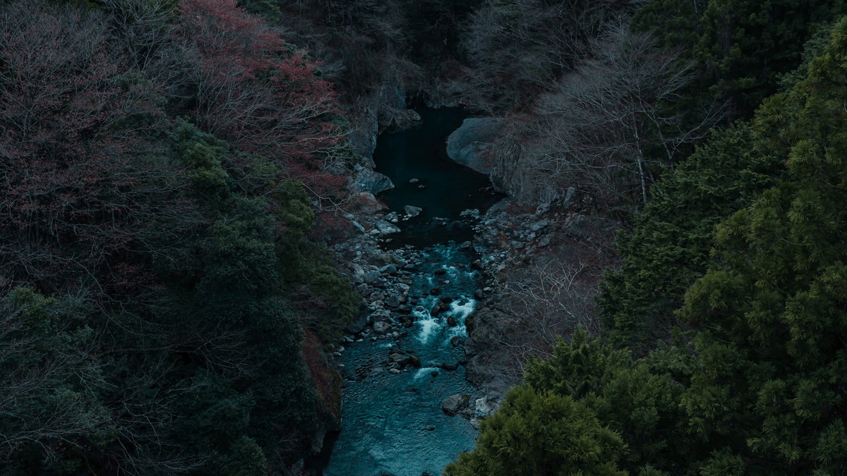 f:id:yu_xix:20210111014347j:plain