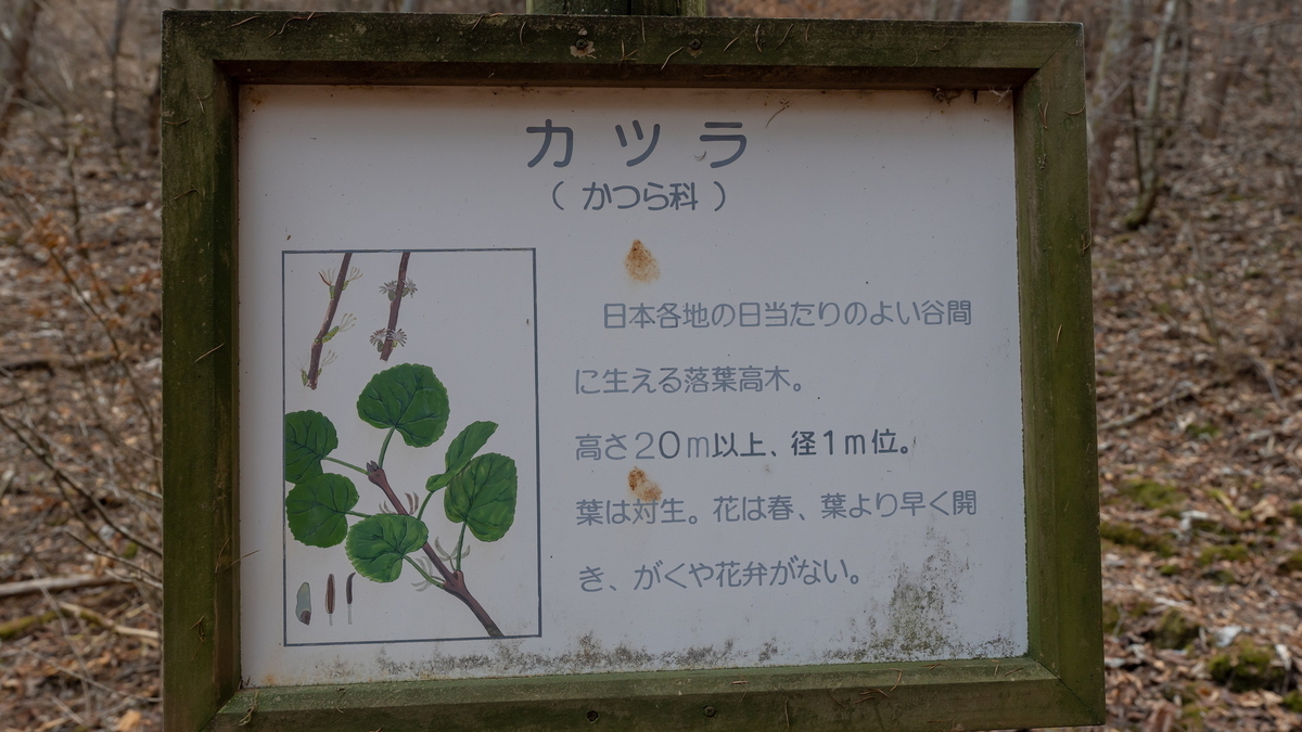f:id:yu_xix:20210111165439j:plain