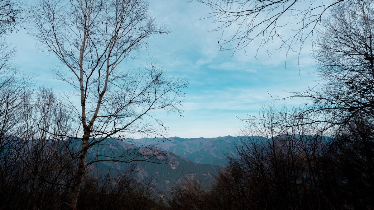 f:id:yu_xix:20210111170826j:plain