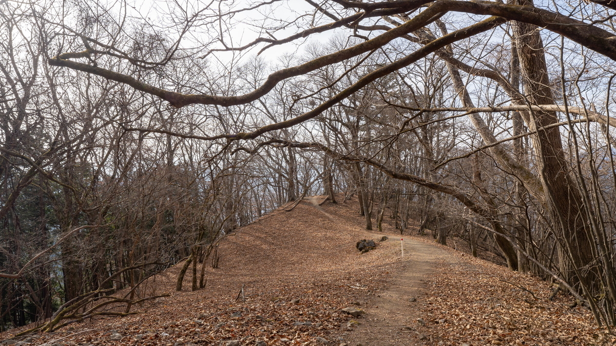 f:id:yu_xix:20210111193750j:plain