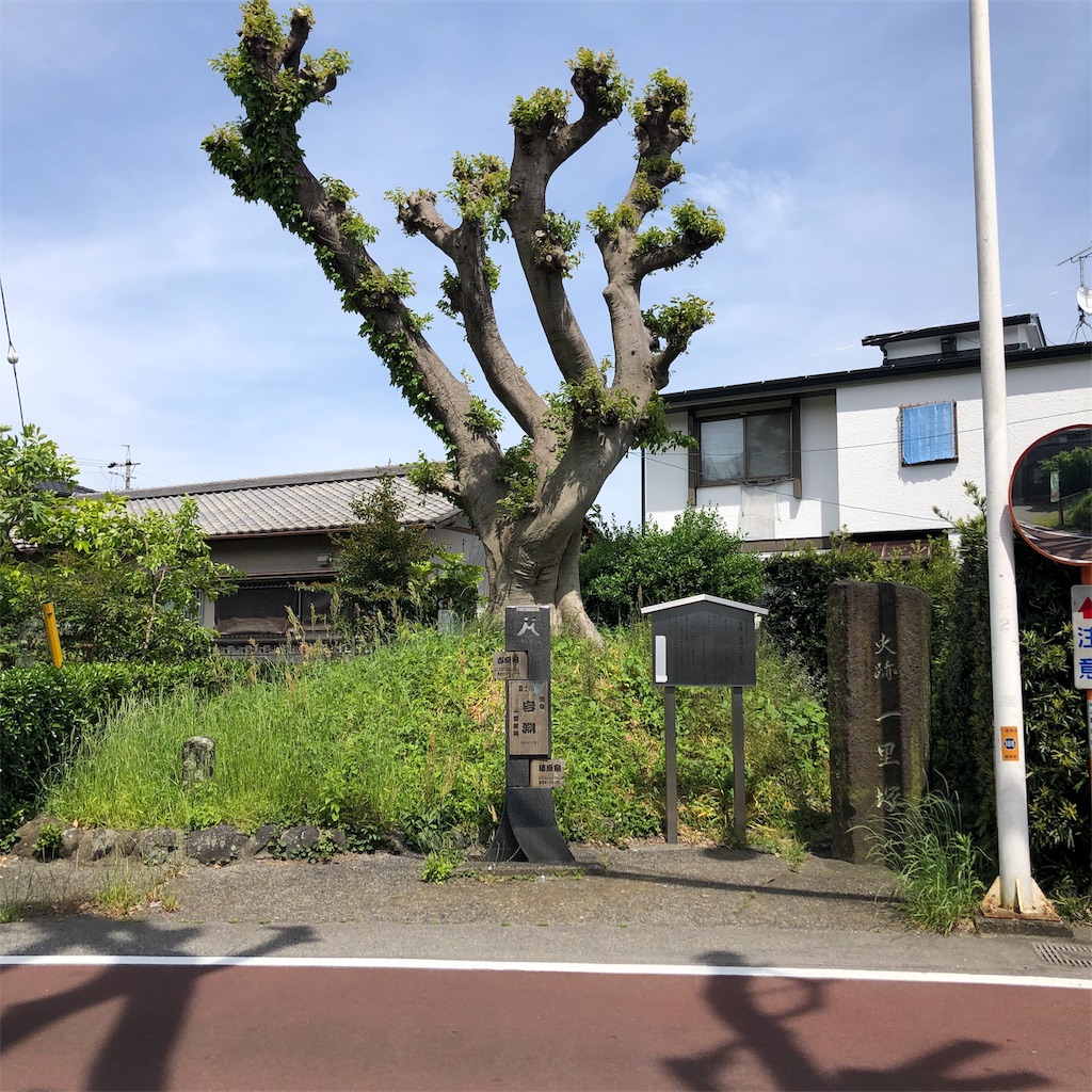 f:id:yuakuma:20190509095332j:image f:id:yuakuma:20190509095332j:image