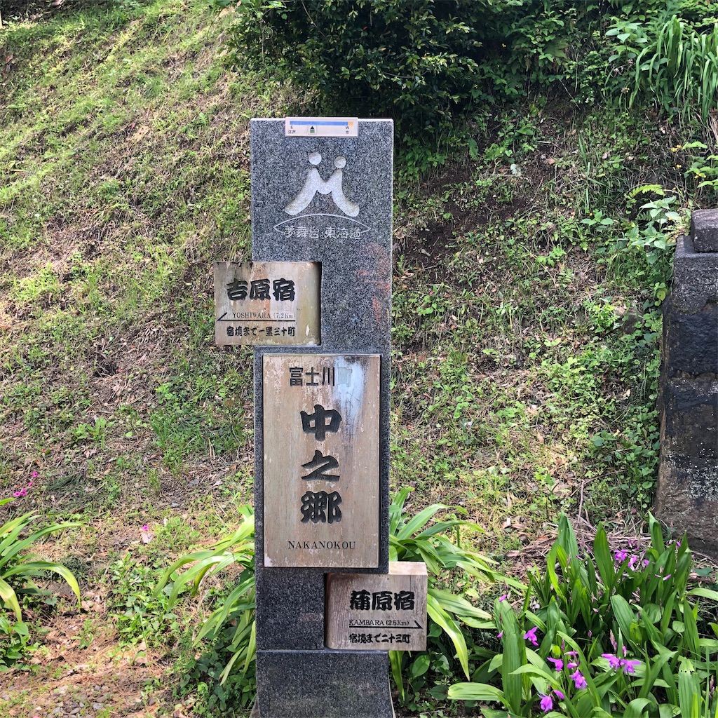 f:id:yuakuma:20190509095413j:image f:id:yuakuma:20190509095413j:image