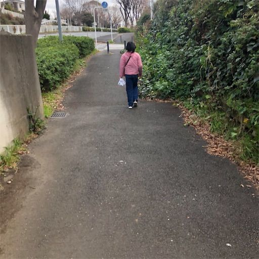 f:id:yuakuma:20200126085113j:image f:id:yuakuma:20200126085113j:image