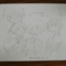  [ｶﾙﾃﾀﾞｼﾞｮｰｺ]