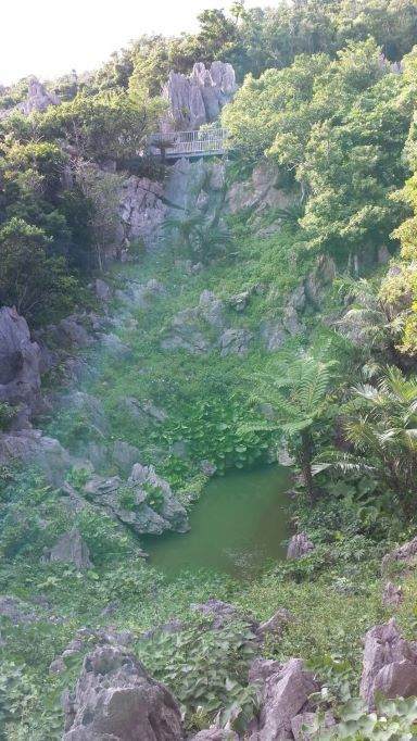 龍神の池で写った龍神様