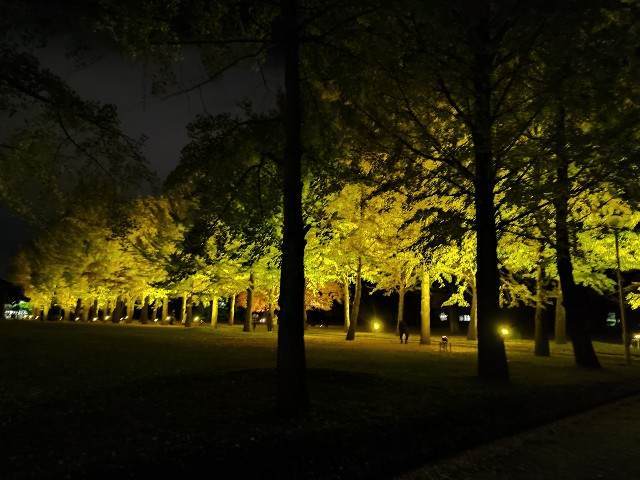 f:id:yuba-tarian:20211109180348j:image