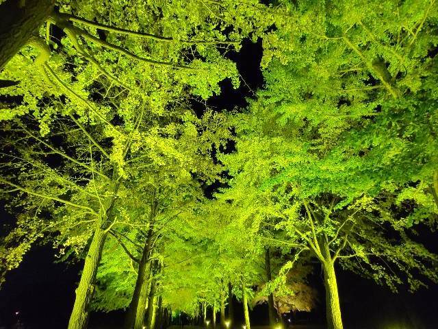 f:id:yuba-tarian:20211109180424j:image